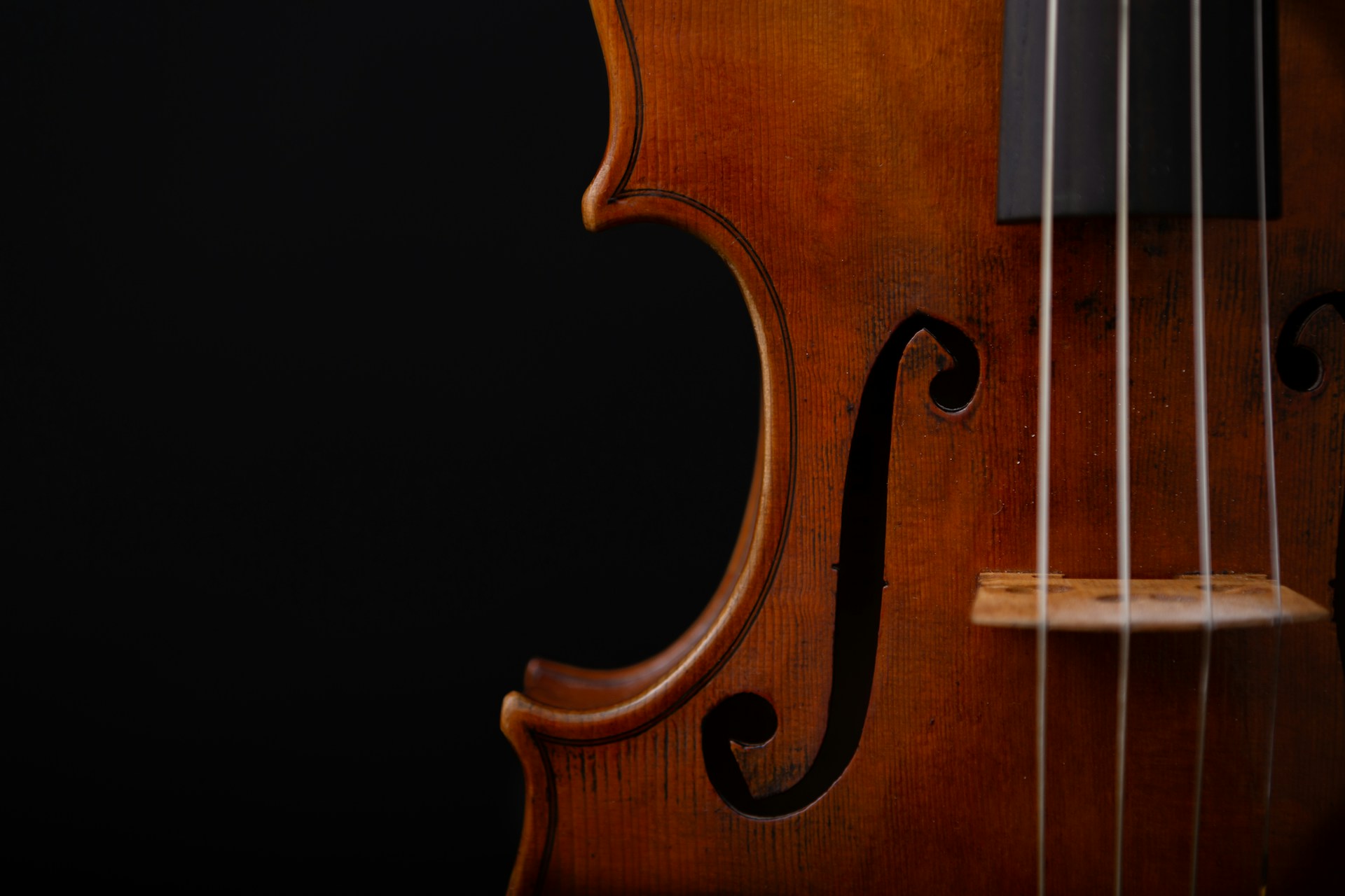 Alquiler de Instrumentos